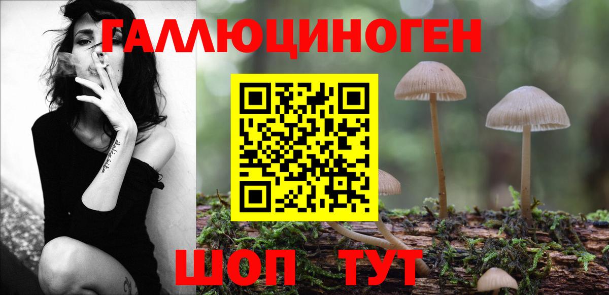 Псилоцибиновые грибы прущие грибы Кохма